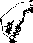 Poster: figure 8 from the 1928–1936 encyclopedia article
