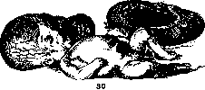 Fetus: figure 22 from the 1928–1936 encyclopedia article