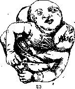 Fetus: figure 17 from the 1928–1936 encyclopedia article