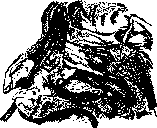 Paranasal Sinuses (air-containing sinuses, adjacent to the proper): figure 5 from the 1928–1936 encyclopedia article