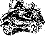Paranasal Sinuses (air-containing sinuses, adjacent to the proper): figure 1 from the 1928–1936 encyclopedia article