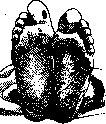 Stoppers: figure 1 from the 1928–1936 encyclopedia article