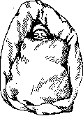 Prematurity: figure 3 from the 1928–1936 encyclopedia article