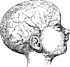 Prematurity: figure 1 from the 1928–1936 encyclopedia article
