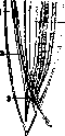 Nematodes: figure 2 from the 1928–1936 encyclopedia article