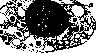 Nucleoproteins: figure 1 from the 1928–1936 encyclopedia article