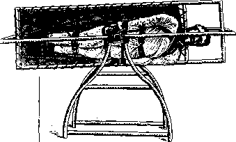 Otolith Apparatus: figure 14 from the 1928–1936 encyclopedia article