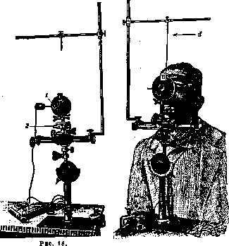 Otolith Apparatus: figure 18 from the 1928–1936 encyclopedia article