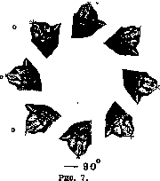Otolith Apparatus: figure 8 from the 1928–1936 encyclopedia article