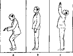 Otolith Apparatus: figure 10 from the 1928–1936 encyclopedia article