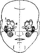 Otolith Apparatus: figure 2 from the 1928–1936 encyclopedia article