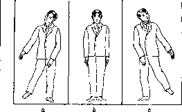 Otolith Apparatus: figure 11 from the 1928–1936 encyclopedia article