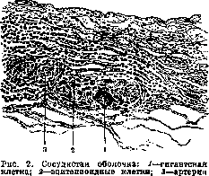 Ophthalmia: figure 2 from the 1928–1936 encyclopedia article
