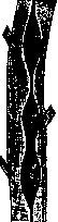 Aggregate State: figure 6 from the 1928–1936 encyclopedia article