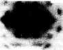Aggressins: figure 1 from the 1928–1936 encyclopedia article