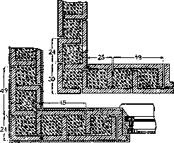 Granary Weevil: figure 2 from the 1928–1936 encyclopedia article