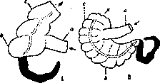 Appendix: figure 1 from the 1928–1936 encyclopedia article