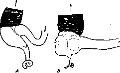 Appendix: figure 3 from the 1928–1936 encyclopedia article
