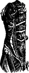 Appendicitis: figure 4 from the 1928–1936 encyclopedia article