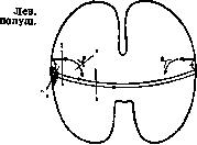 Appretura (Textile Finishing) and Apraxia: figure 1 from the 1928–1936 encyclopedia article