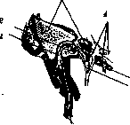 Anastomoses: figure 2 from the 1928–1936 encyclopedia article