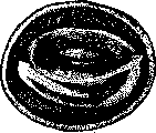 Ascarids: figure 3 from the 1928–1936 encyclopedia article