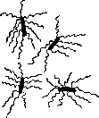 Typhoid Fever: figure 1 from the 1928–1936 encyclopedia article