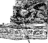 Typhoid Fever: figure 17 from the 1928–1936 encyclopedia article