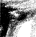 Bubo: figure 1 from the 1928–1936 encyclopedia article