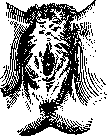 Vulva: figure 3 from the 1928–1936 encyclopedia article