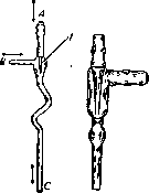 Water Pepper: figure 1 from the 1928–1936 encyclopedia article
