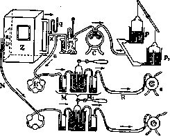 Gas Exchange: figure 3 from the 1928–1936 encyclopedia article