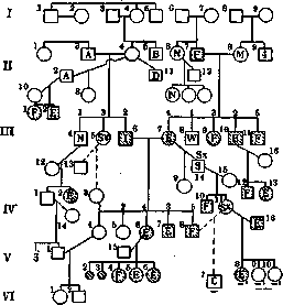 Genealogy: figure 1 from the 1928–1936 encyclopedia article