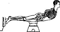 Gymnastics: figure 2 from the 1928–1936 encyclopedia article