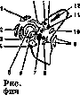 Orbit: figure 3 from the 1928–1936 encyclopedia article