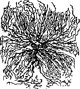 Brain (551 General diagnostics of brain diseases): figure 27 from the 1928–1936 encyclopedia article