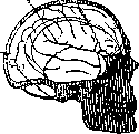 Brain (551 General diagnostics of brain diseases): figure 19 from the 1928–1936 encyclopedia article