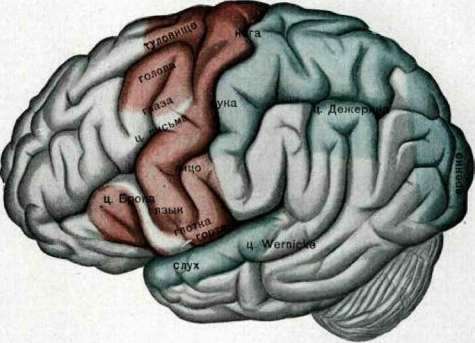 Brain (551 General diagnostics of brain diseases): figure 33 from the 1928–1936 encyclopedia article