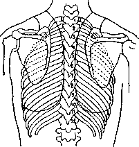 Graphic Images: figure 4 from the 1928–1936 encyclopedia article