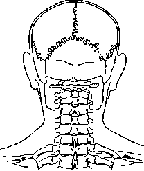 Graphic Images: figure 3 from the 1928–1936 encyclopedia article