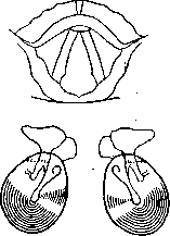 Graphic Images: figure 5 from the 1928–1936 encyclopedia article