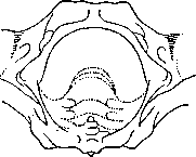 Graphic Images: figure 6 from the 1928–1936 encyclopedia article