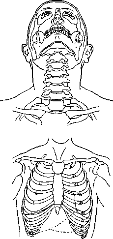 Graphic Images: figure 2 from the 1928–1936 encyclopedia article