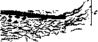 Caterpillars: figure 1 from the 1928–1936 encyclopedia article