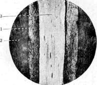 Denitrification: figure 1 from the 1928–1936 encyclopedia article