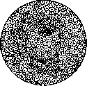 Embryo: figure 3 from the 1928–1936 encyclopedia article