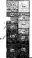 Infectious Diseases: figure 12 from the 1928–1936 encyclopedia article