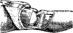 Knee Joint: figure 8 from the 1928–1936 encyclopedia article
