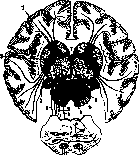 Organ of Corti: figure 7 from the 1928–1936 encyclopedia article
