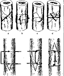 Bone Suture: figure 2 from the 1928–1936 encyclopedia article